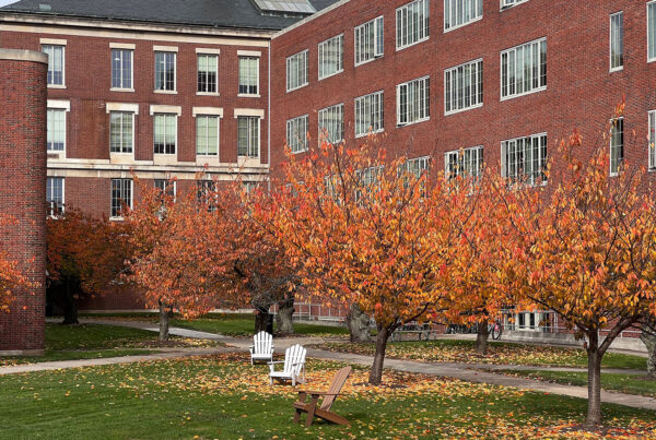 College campus representation for Title IX article