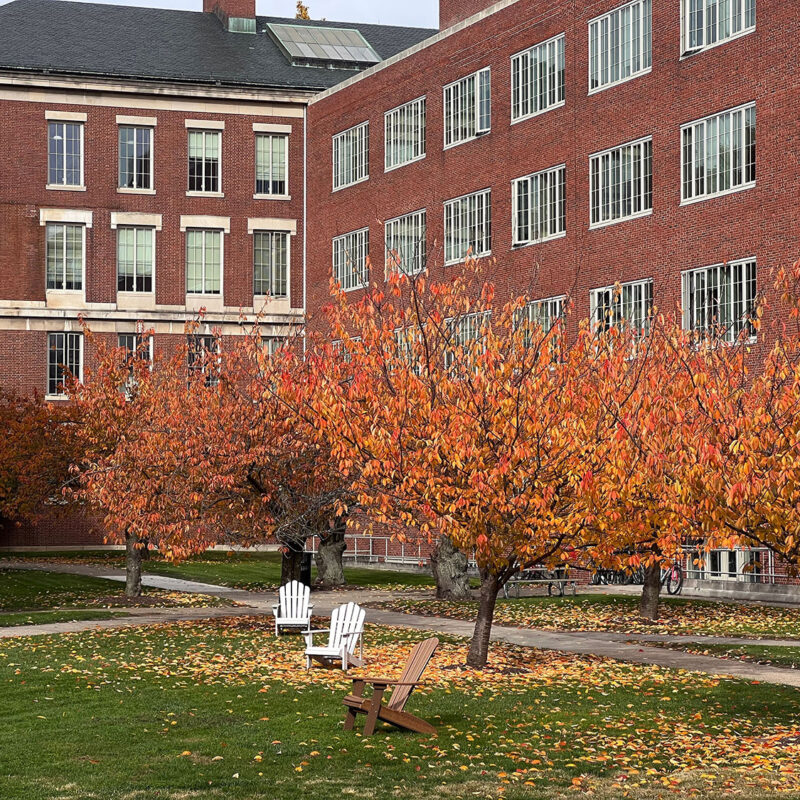 College campus representation for Title IX article